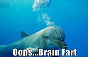 dolphin